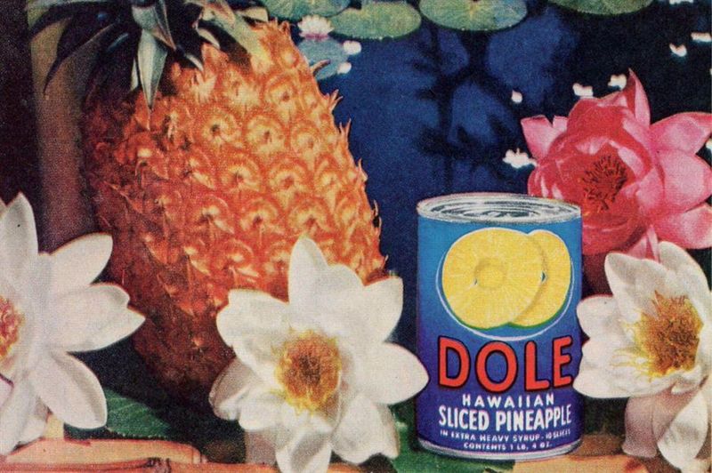 Canned Vegetables: The Modern Convenience