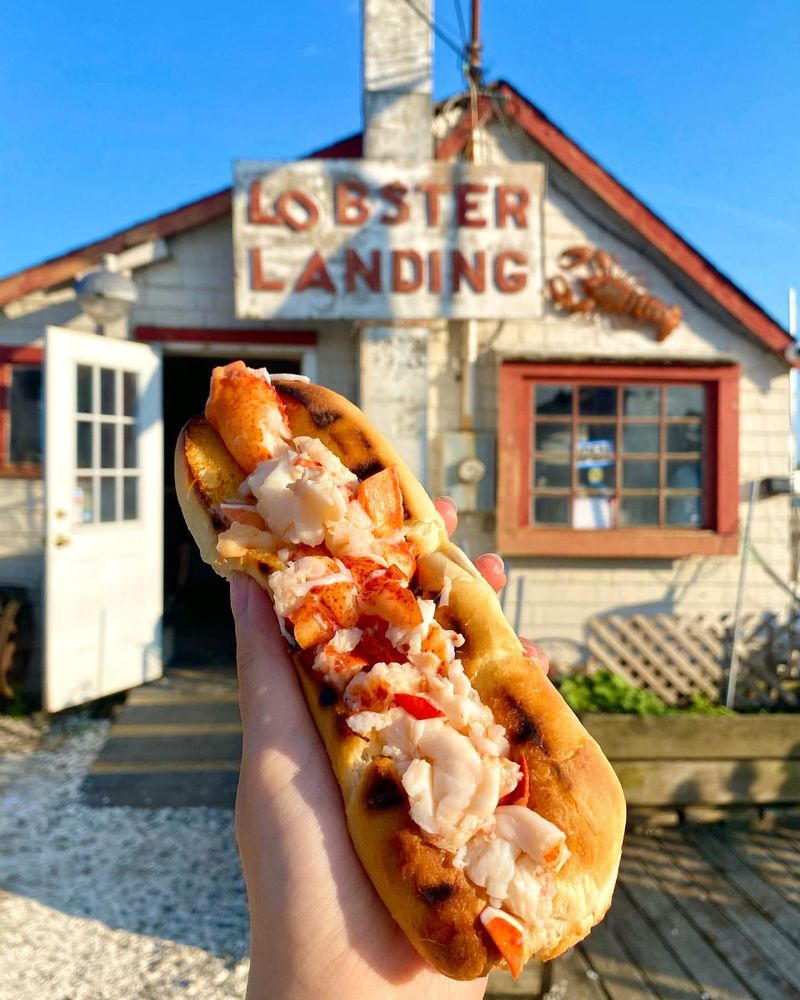 Connecticut – Lobster Roll (Hot Buttered)