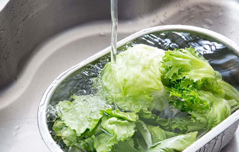 Lettuce (or Lettuce Tea)