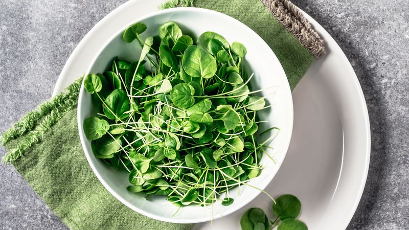 Watercress Delivers Maximum Antioxidants