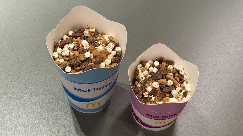 Hershey's S'mores McFlurry (McDonald's)