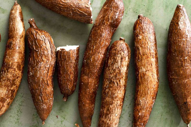 Hidden Cyanide: Cassava Root