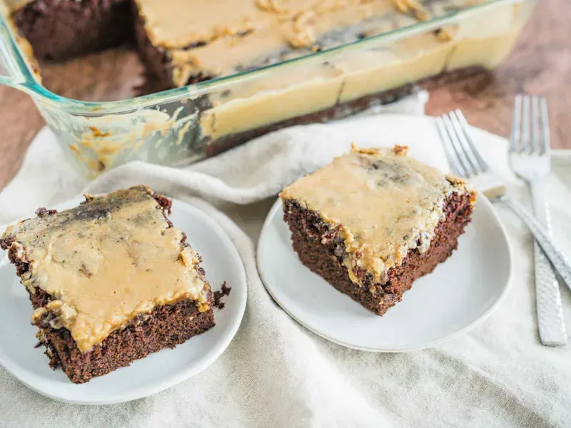 Chocolate Peanut Butter Wacky Cake