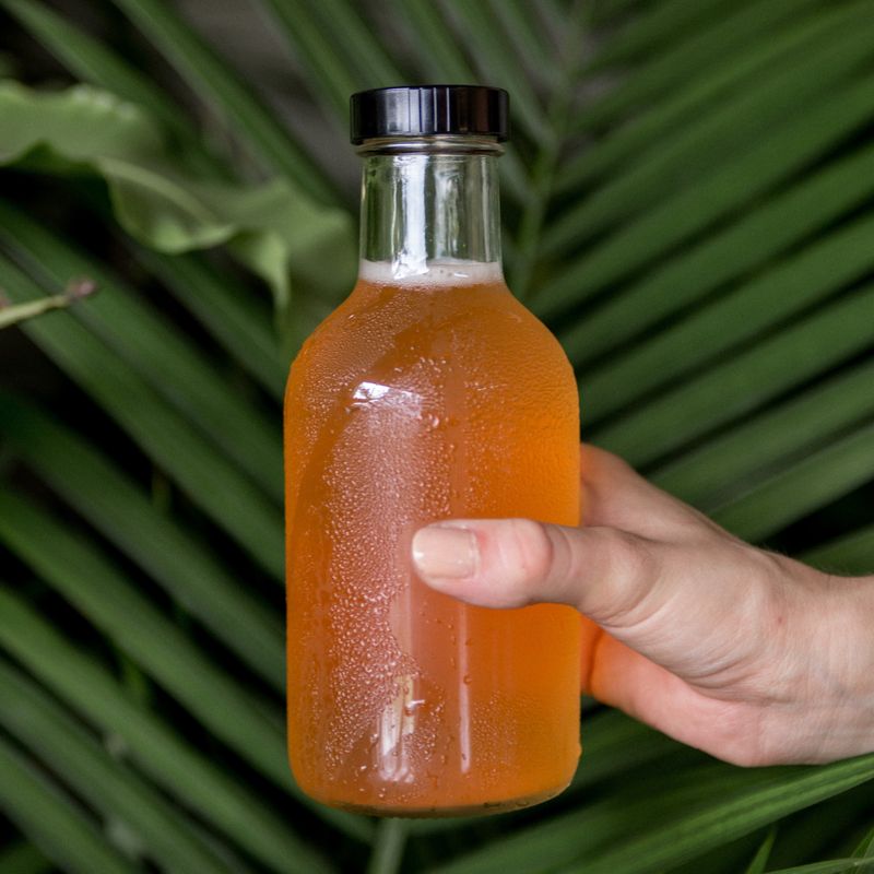 Kombucha