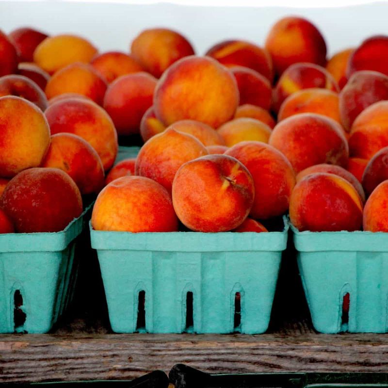 Peaches