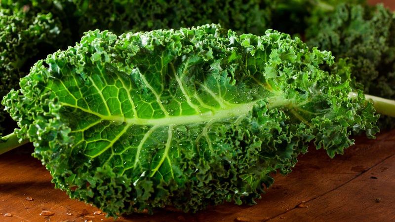 Kale