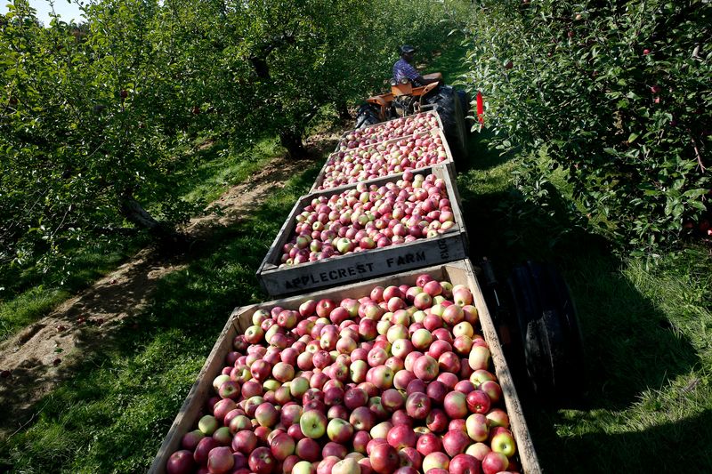 Alar On Apples
