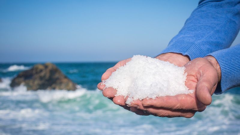 Sea Salt