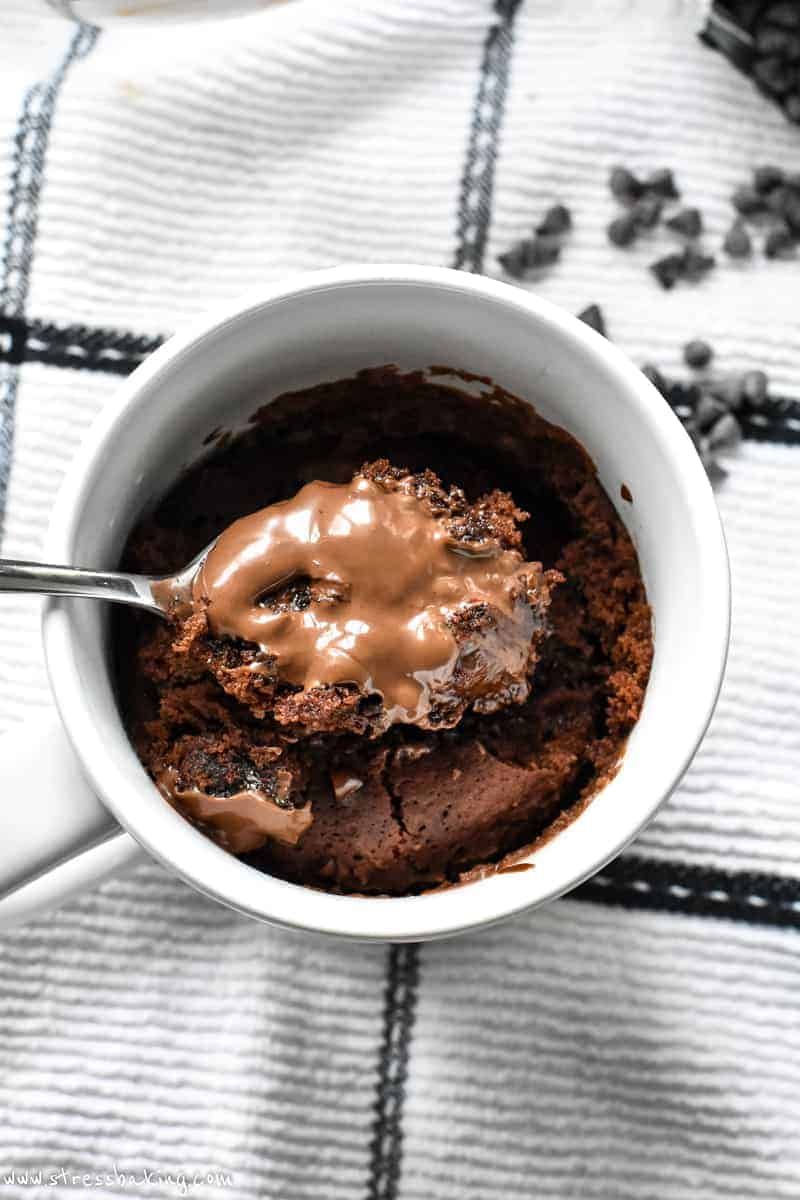 Chocolate Mug Cake