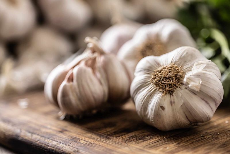 Garlic: The Aromatic Defender