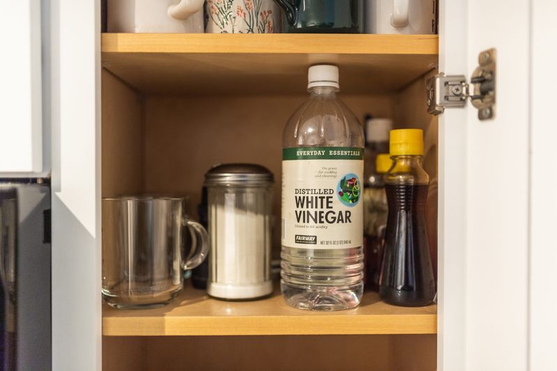 Vinegar