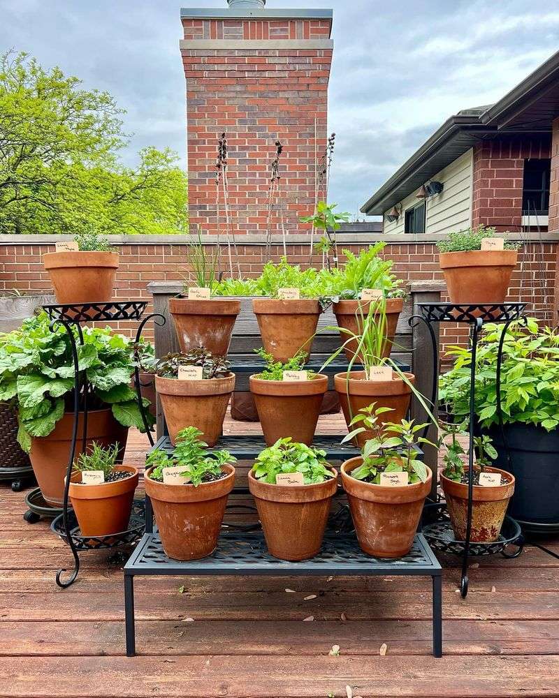 Grow Your Own Herb Garden