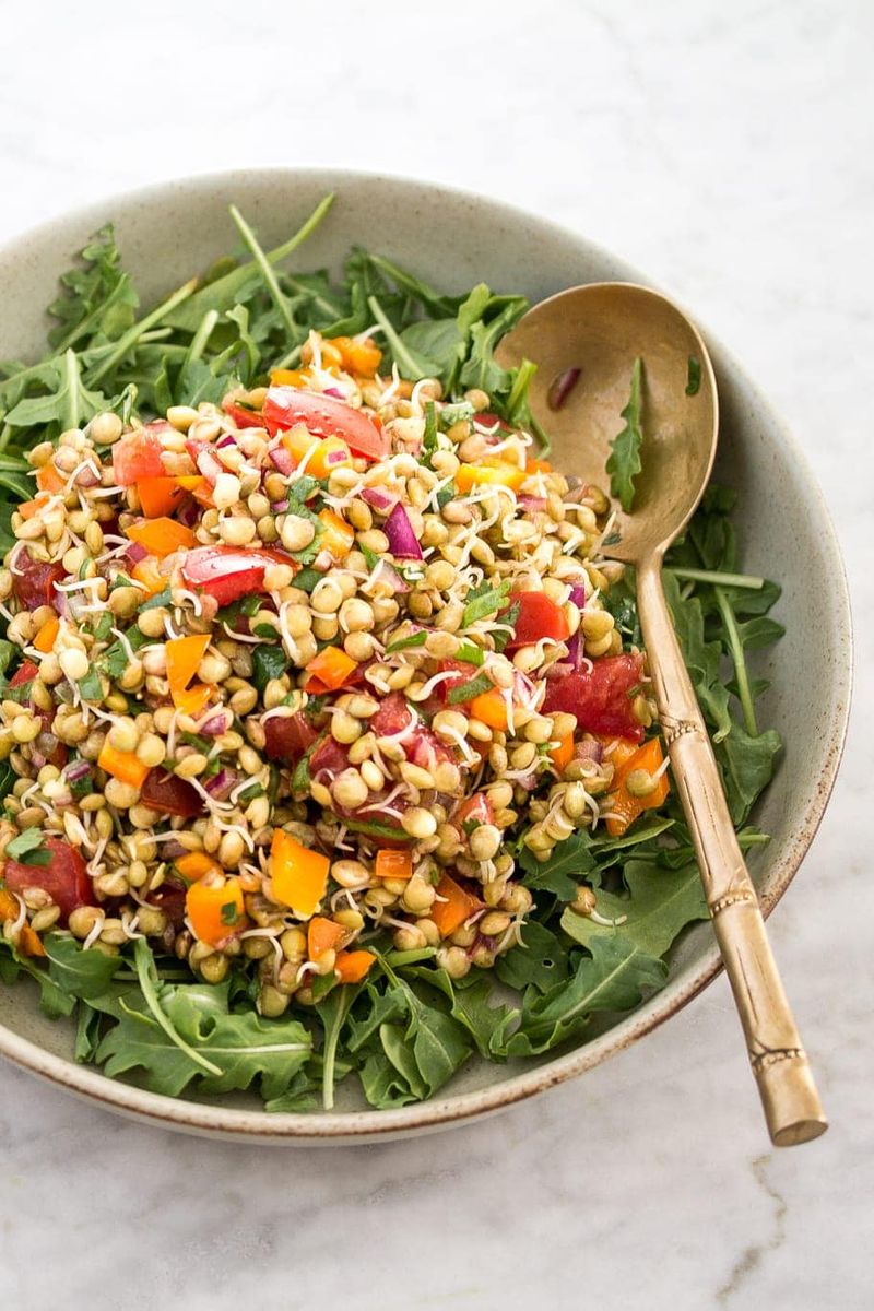 Sprouted Lentil Salad
