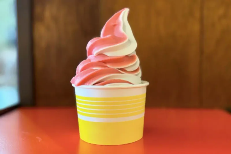 Frozen Yogurt