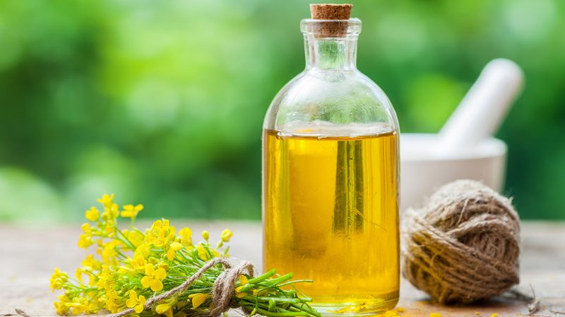 Highly Processed Canola Oil