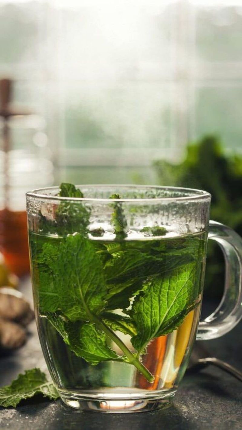 Peppermint Tea