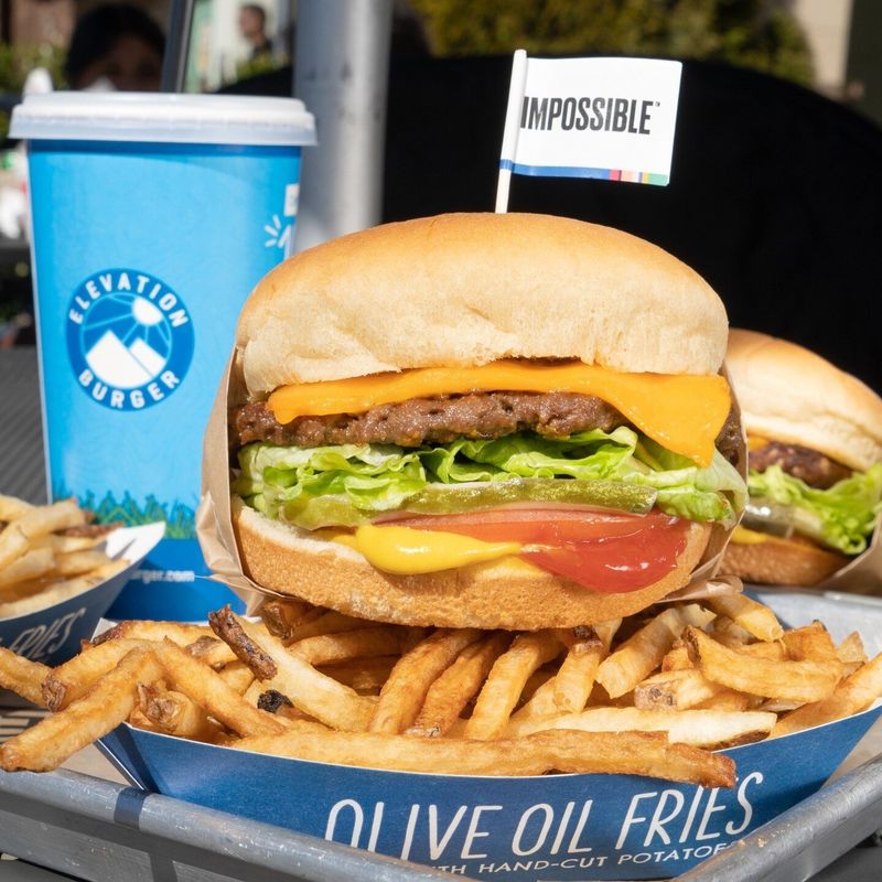 Elevation Burger