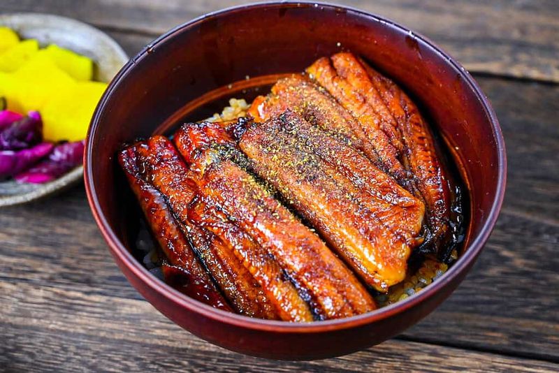 Unagi Don