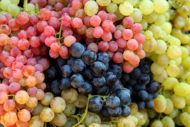 Grapes' Pesticide Problem