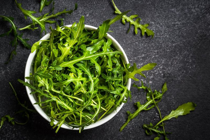 Arugula's Peppery Nutrients Stay Potent Fresh