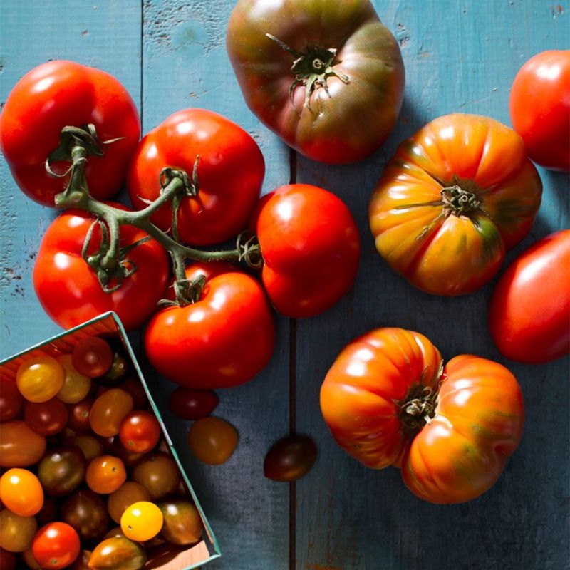 Tomatoes