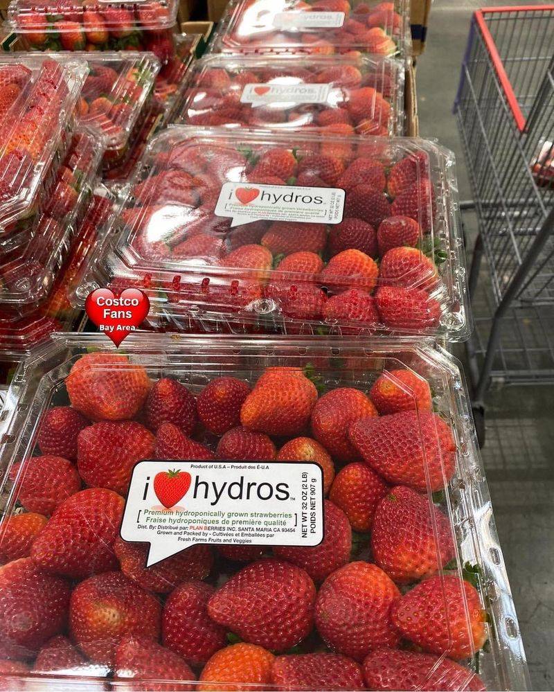 Fresh Berries in Bulk