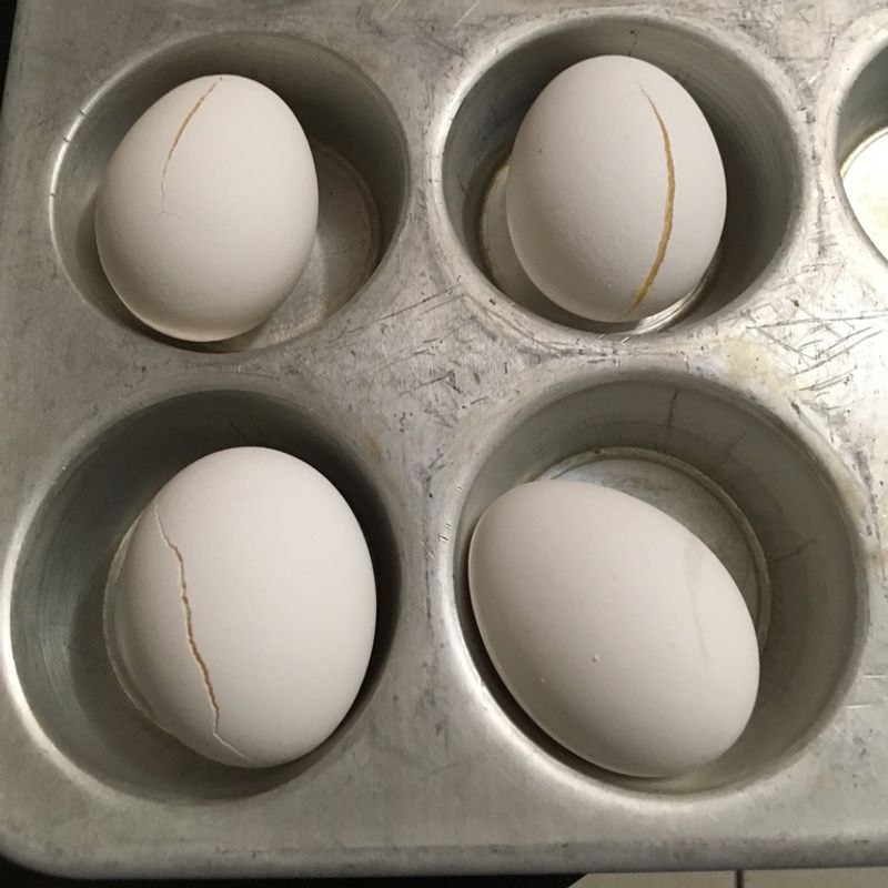 Eggs in the Shell