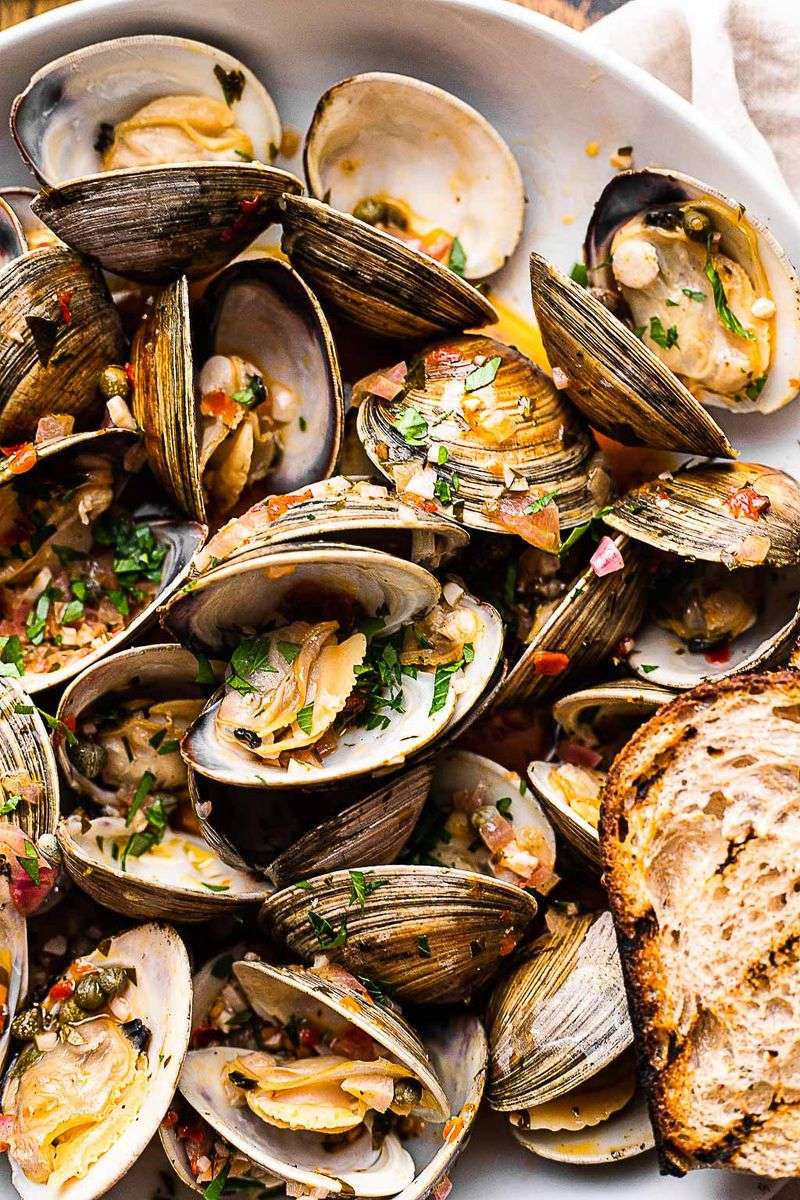 Clams