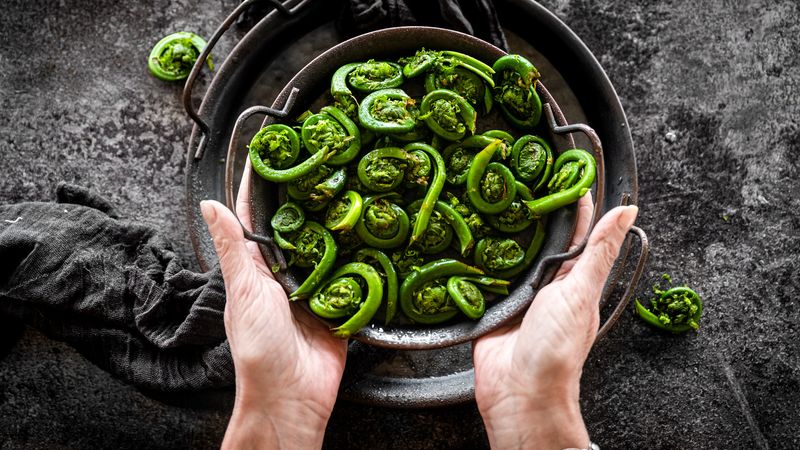 Fiddlehead Ferns: The Toxic Spiral