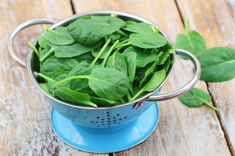 Green Menace in Disguise: Spinach