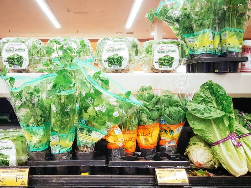 Fresh Herbs
