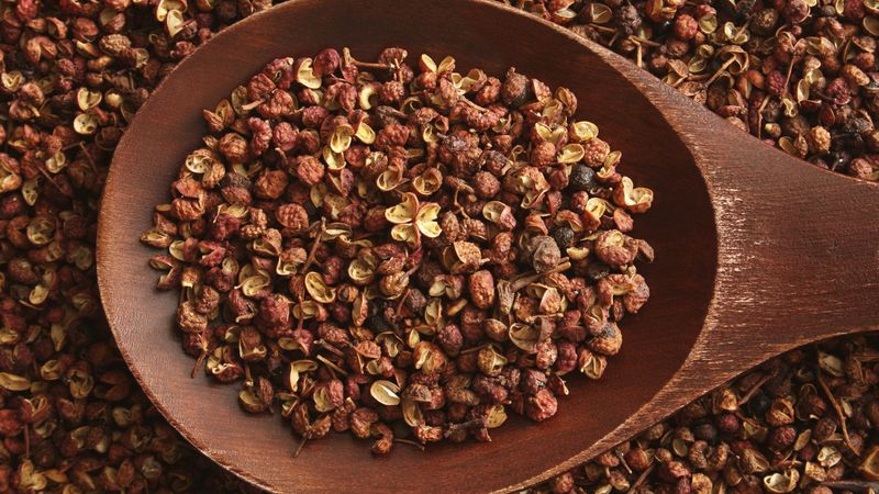 Sichuan Pepper: The Numbing Agent