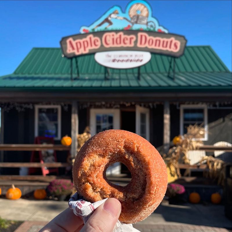 New Hampshire: Apple Cider Donuts