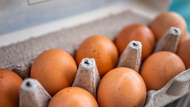 Eggs