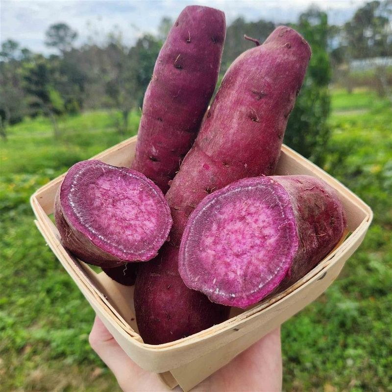 Sweet Potatoes