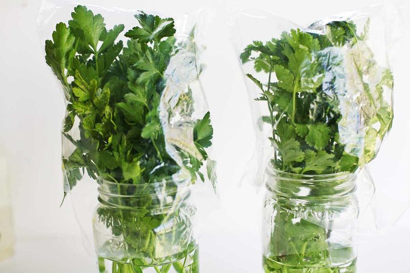 Fresh Herbs