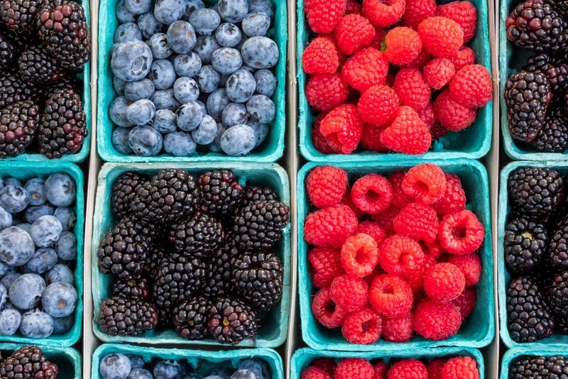 Berries: Antioxidant Sleep Protectors