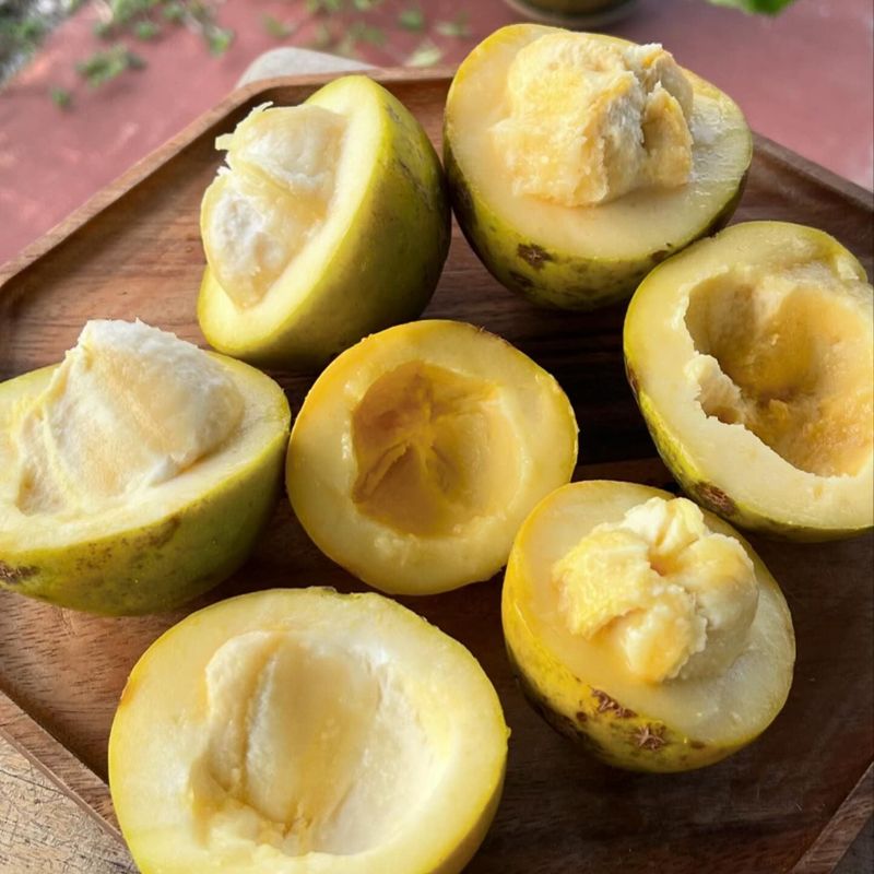 White Sapote