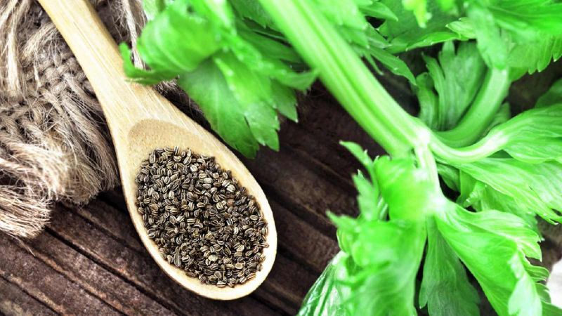 Celery Seeds