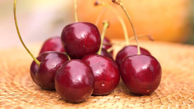 Cherries' Chemical Cocktail