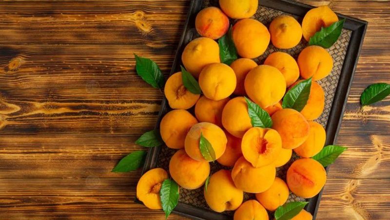 Apricot