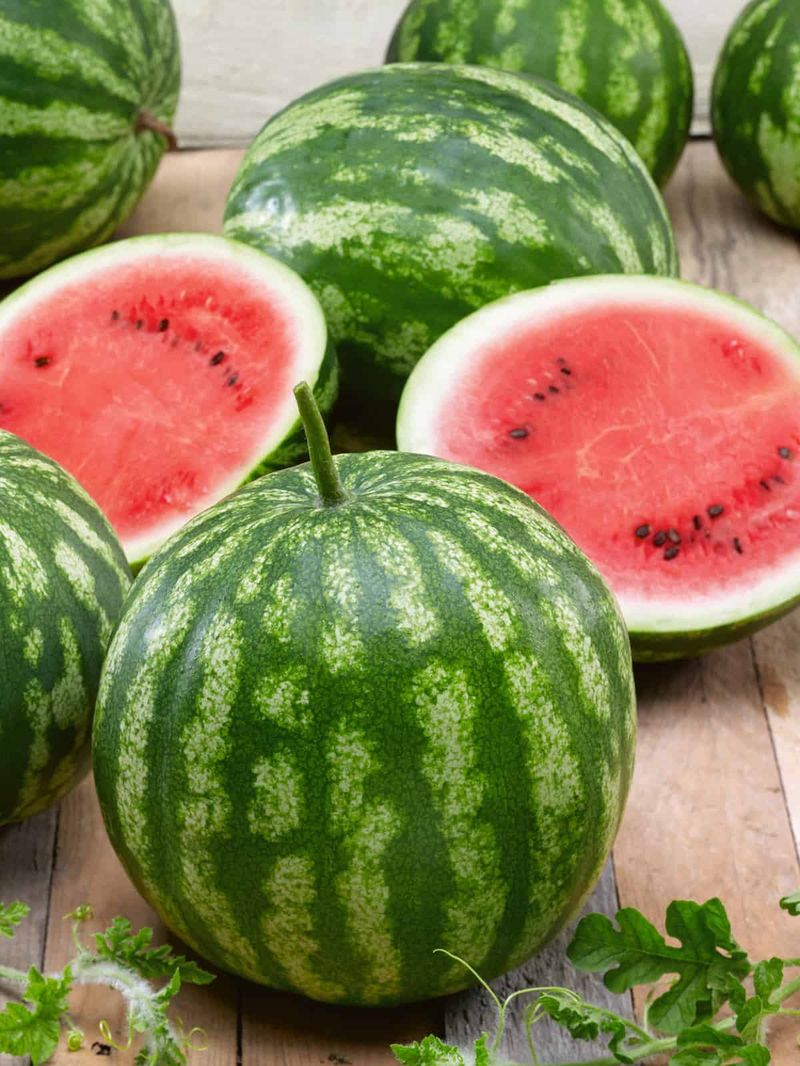 Round watermelons are sweeter and less watery