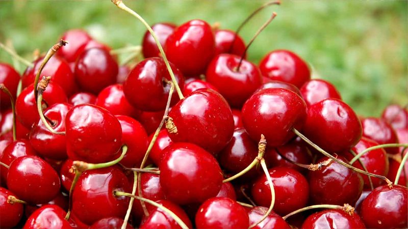 Cherries - Nature's Sleep Aids