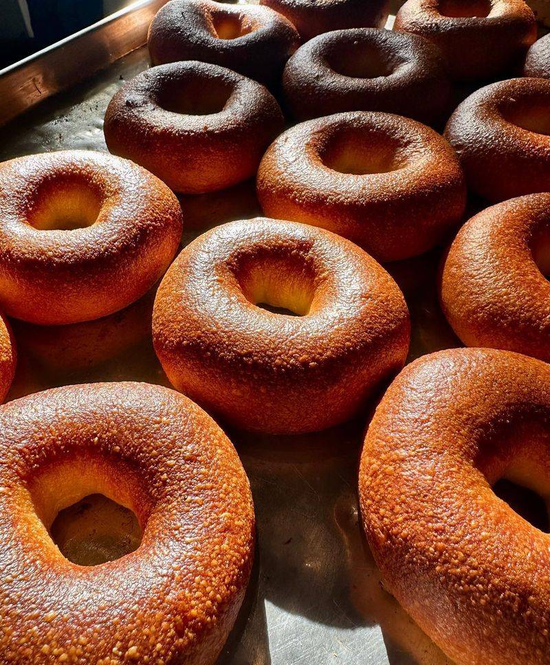 Plain Bagels