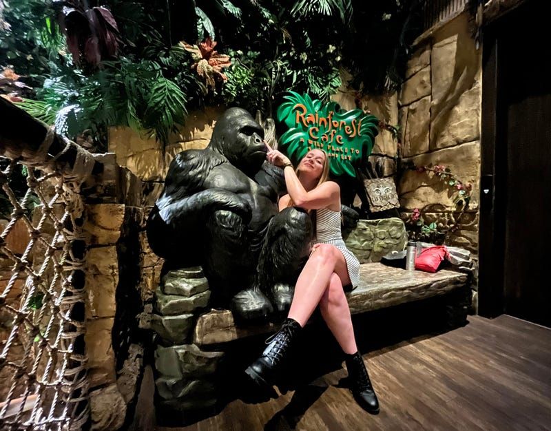Rainforest Cafe (Multiple Locations)