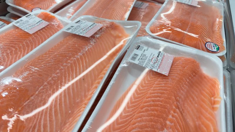 Salmon Fillets