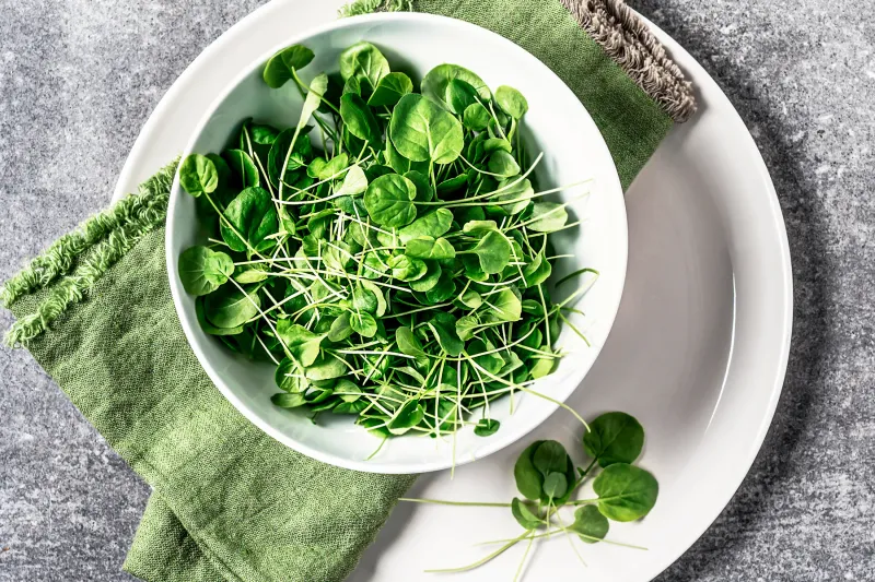 Wonderful Watercress
