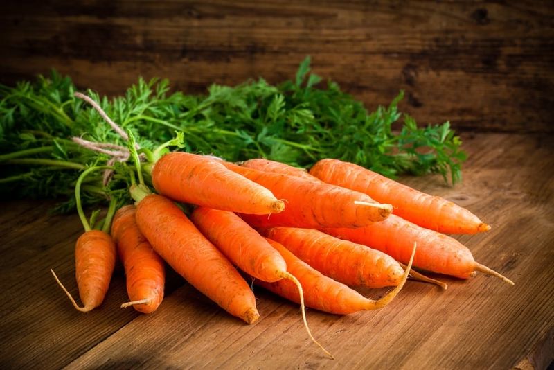 Carrots Crunch With Complete Nutrition