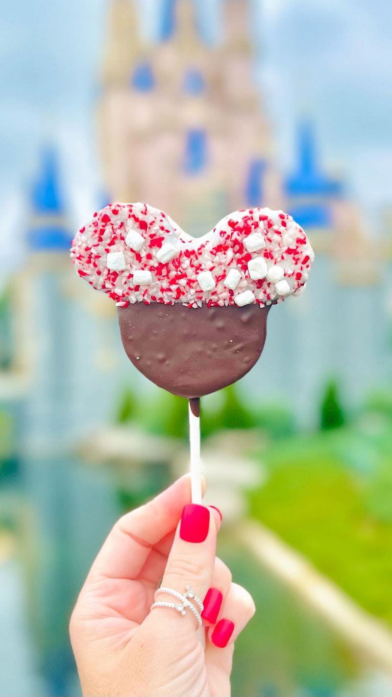 Chocolate-Dipped Marshmallow Wand