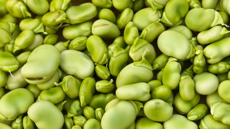 Lima Beans: The Cyanide Surprise